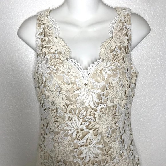 Ann Taylor lace sheath dress scallop hem - Picture 3 of 11